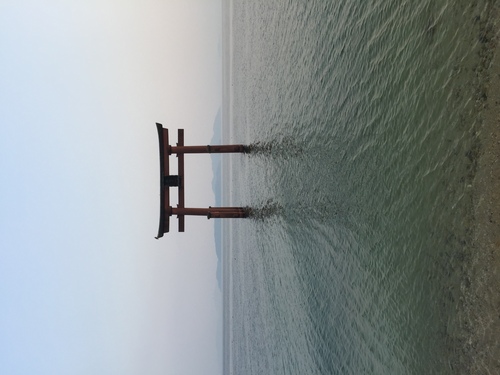 VANILLA FLAVOR_a0208742_0122928.jpg